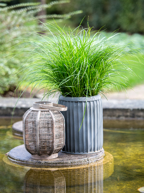 Insp-garden_20