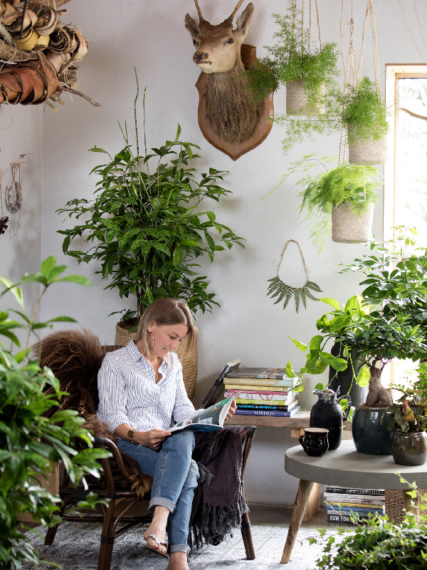 Insp-indoor_7